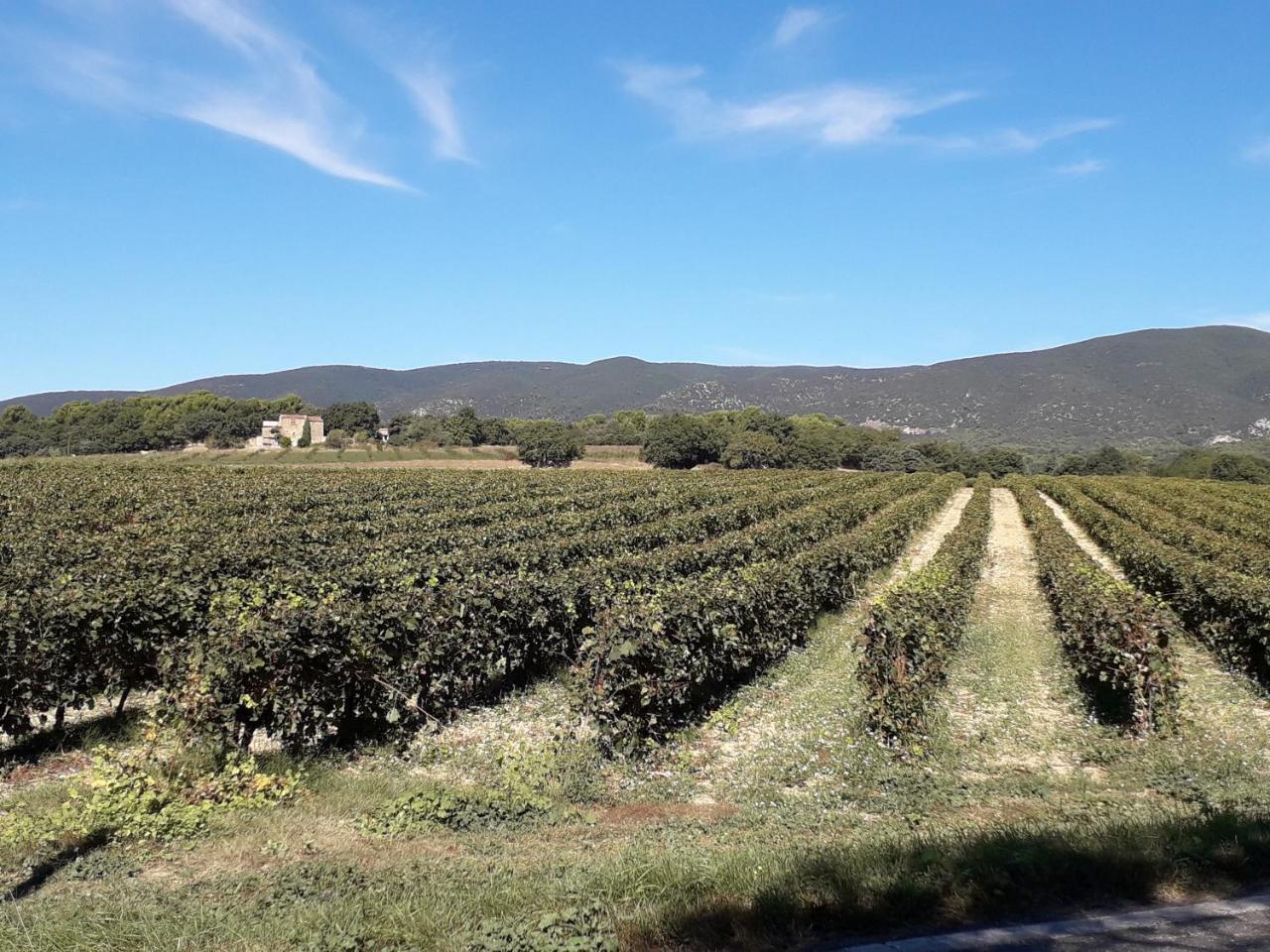 Le Mas Du Colombier Cadenet Exterior photo